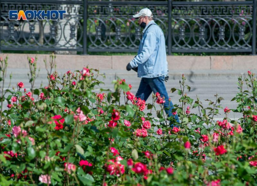 Волгоградцы не сомневаются, что коронавирус по-прежнему опасен