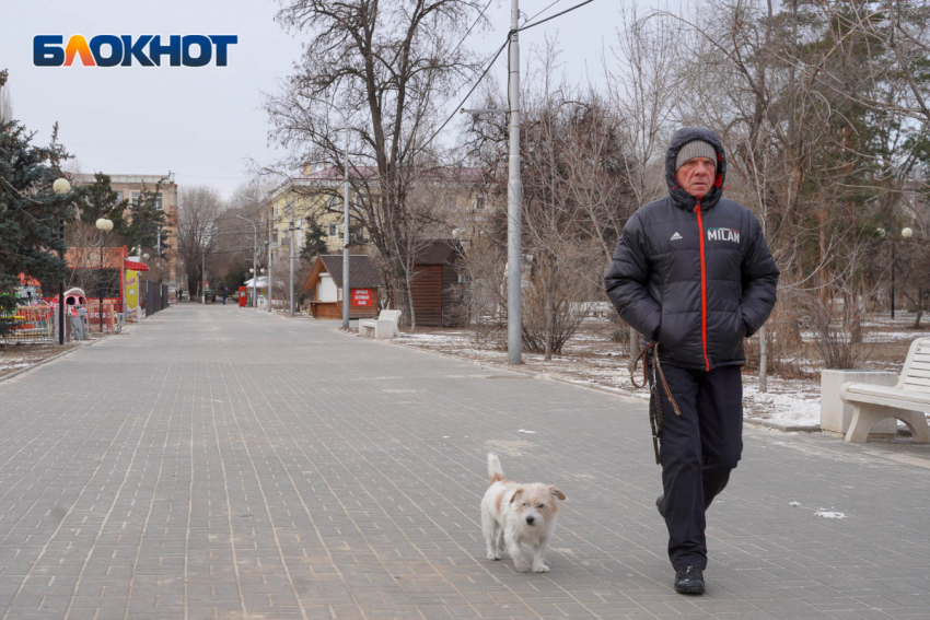 Второй день весны принесет в Волгоград сильный ветер и снег