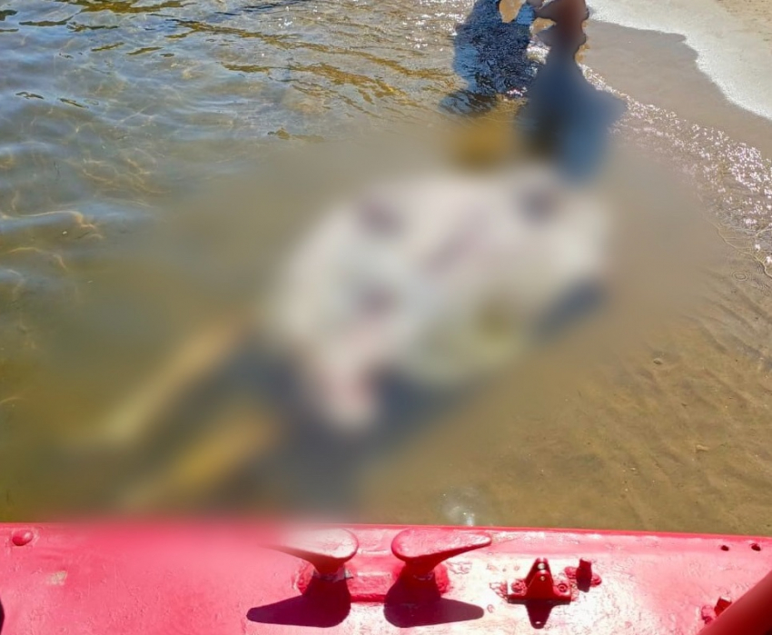  Мужчина утонул рядом с пристанью на юге Волгограда