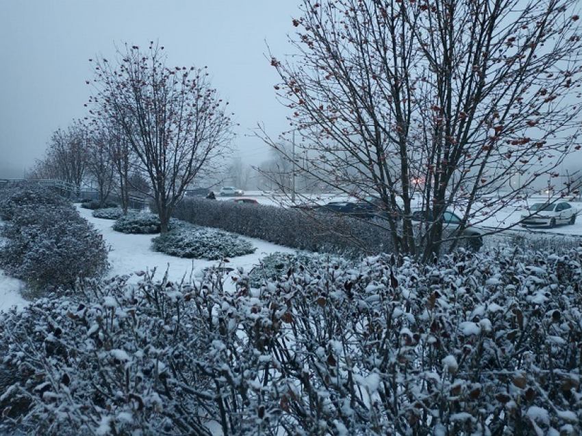 Морось, туман и гололед пришли в Волгоград на смену снежной погоде