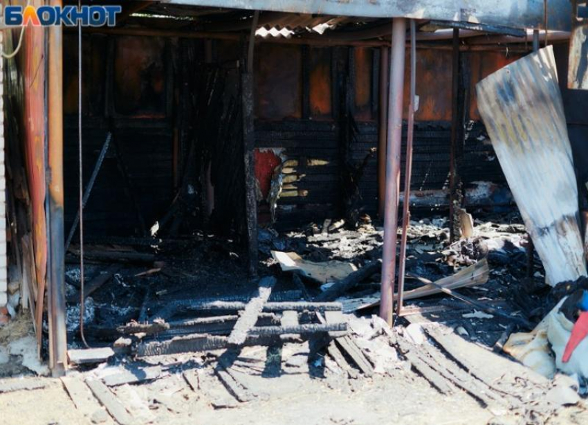 Кравченко взял на контроль  проверку по факту гибели лошадей при пожаре в Волжском