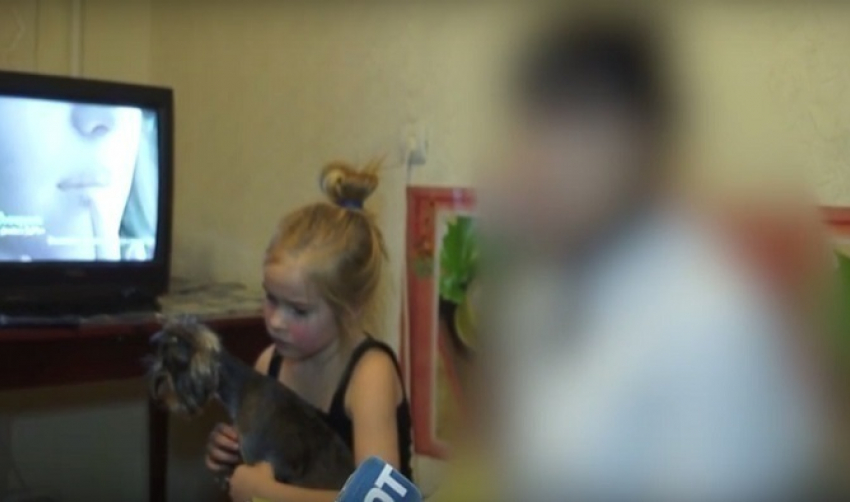 Паника в Волгограде: после визита круглосуточного ветеринара животные зачастую гибнут 