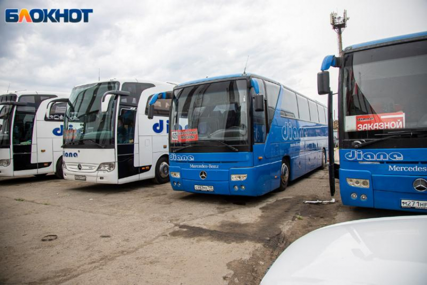 Долги и смертельное ДТП: почему забирают автобусы у «Диана Тур» под Волгоградом 