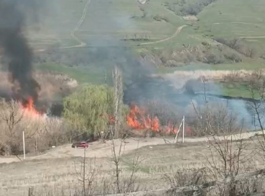 Пожар около СНТ сняли на видео под Волгоградом