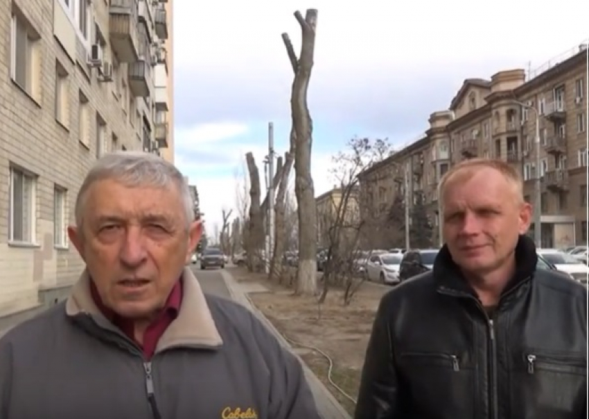 «Это как надо не любить город?»: властям Волгограда показали лишенный зелени центр