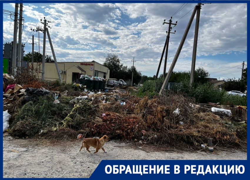 Безумные свалки стали предвестниками пожаров для жителей Волгограда