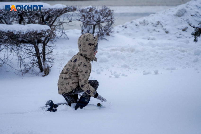 120 тонн снега запасли на весну в Волгоградской области 