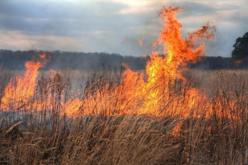 Волгоградские чиновники говорят о возможности больших пожаров