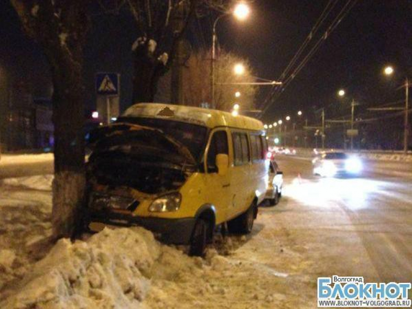В Волгограде маршрутка врезалась в дерево: пострадала пассажирка