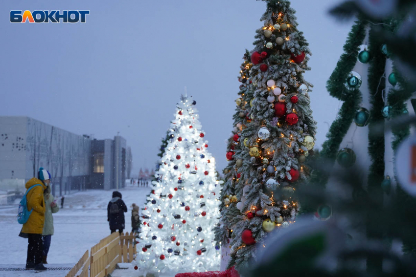 Волгоградский депутат призвал поддержать петицию об отказе от закупки новогодних украшений ради помощи СВО