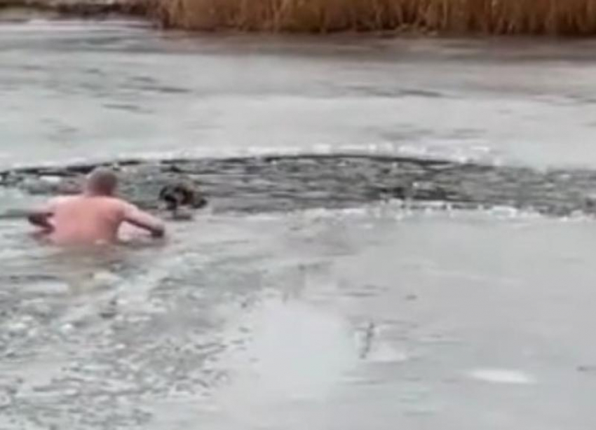 Трогательное спасение собаки в ледяном пруду в Волгограде попало на видео