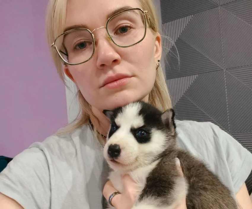 «Выплакали все глаза»: четверо щенков хаски умерли друг за другом у волгоградских волонтеров