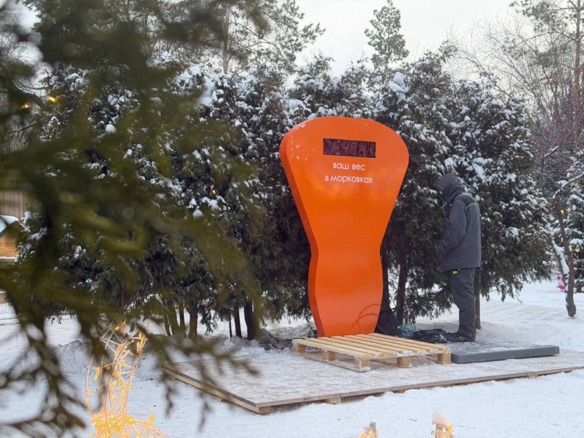 Вместо килограммов — морковки: в волгоградском парке появились необычные весы