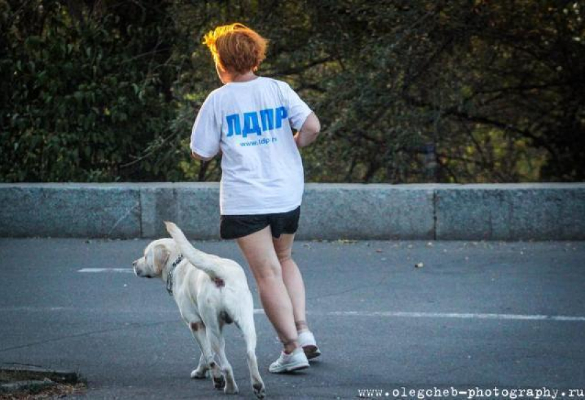 В Волгоградской гордуме срочно создали еще одну фракцию