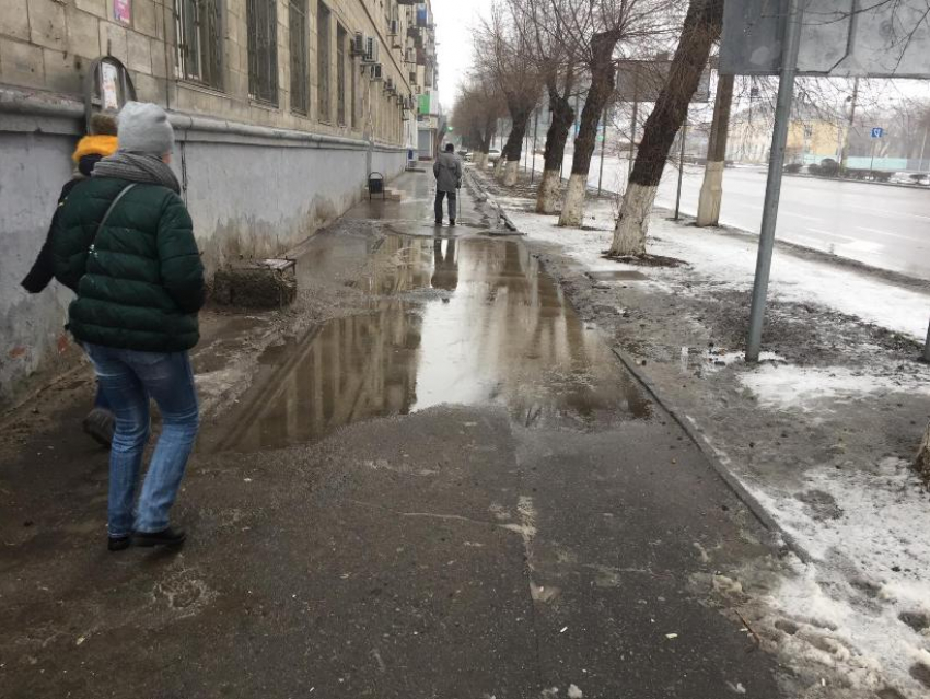 Илона Маска  житель Волгограда попросил убрать лужу в центре города