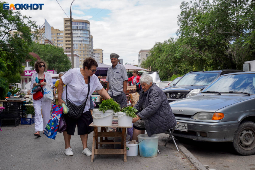 Назван топ-20 продуктов, подешевевших в Волгограде в начале августа 