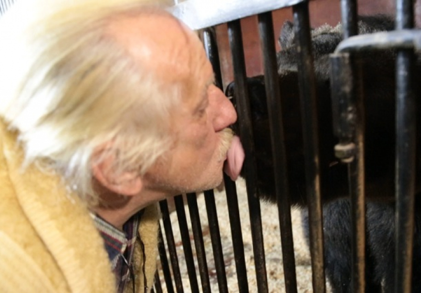 Смертельно опасный поцелуй медведя попал на видео в Волгограде 