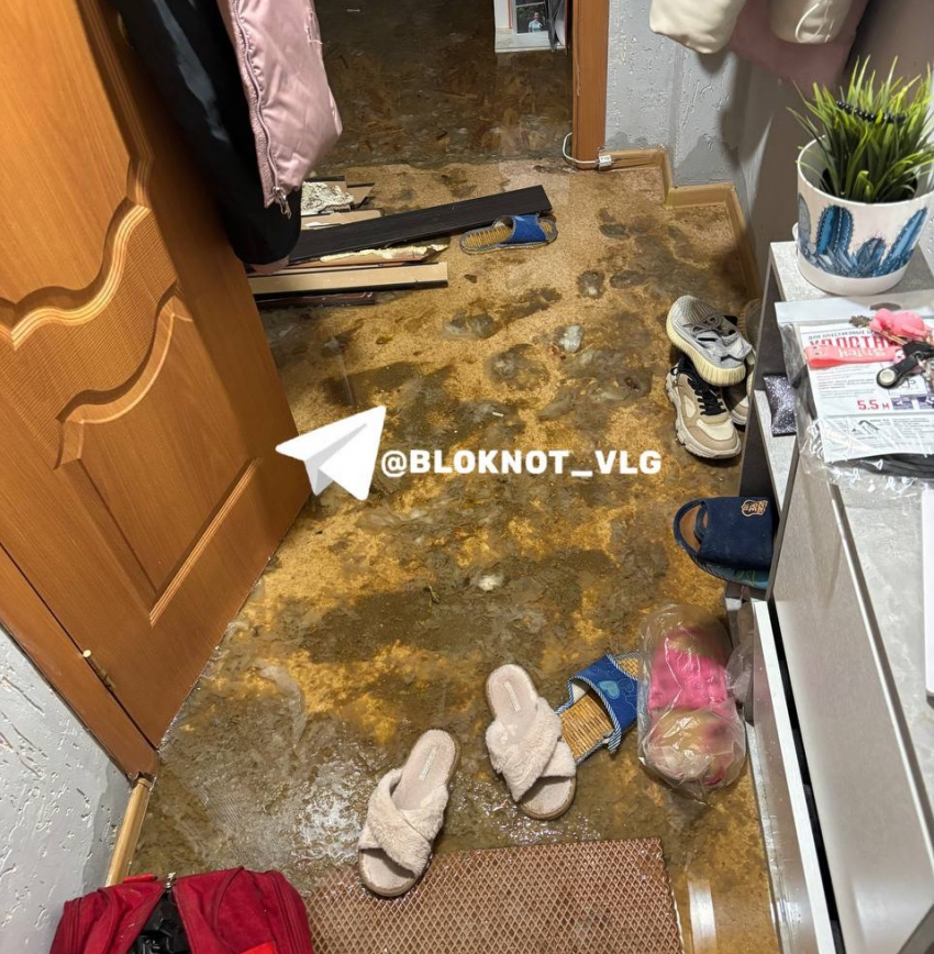 Фонтан забил из унитаза волгоградки: шок-видео 