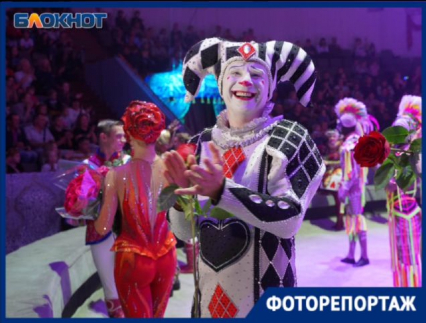 Премьера шоу  Гии Эрадзе «Песчаная сказка»  в цирке заставила волгоградцев  кричать от восторга