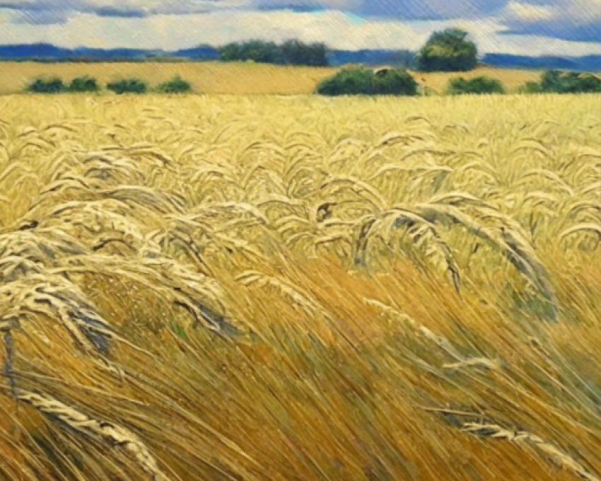 Самолет экстренно сел на поле в Волгоградской области