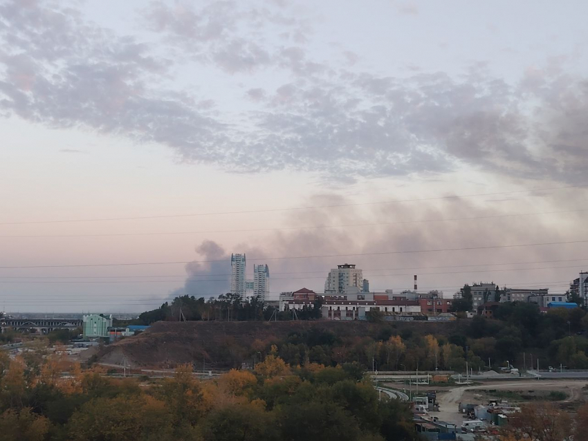 Вторые сутки полыхает пойма в Заволжье в Волгоградской области 