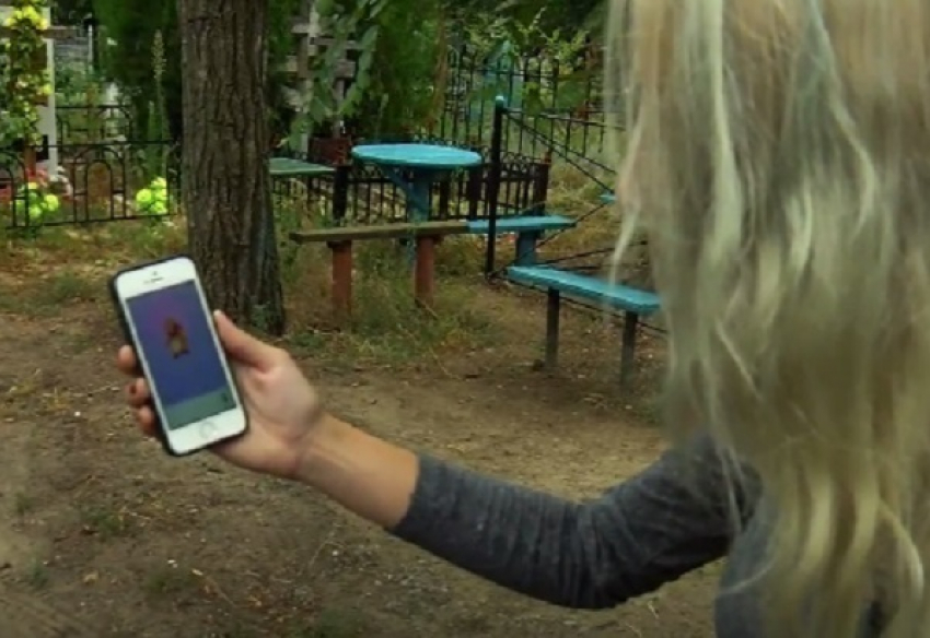 Школьница поймала покемонов Раттата и Нидорино на Центральном кладбище Волгограда 