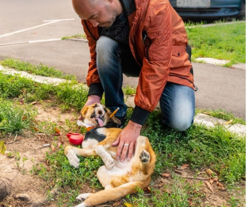 В Москве провели сложнейшую пластическую операцию щенку из Волгограда с огнестрельным ранением