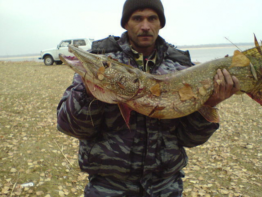 Николай Царев поделился рыбой своей мечты для конкурса «Удачный улов»