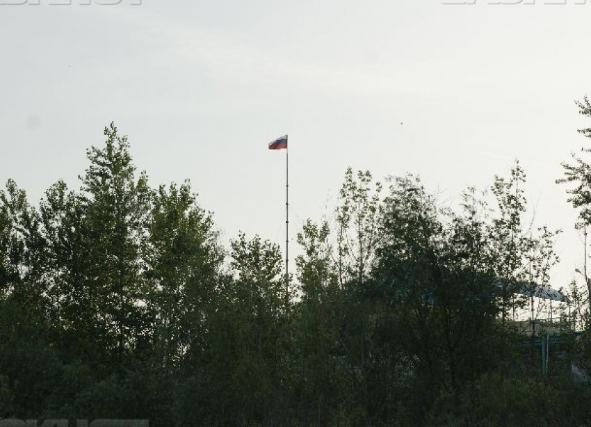 Опасных вредителей уничтожат с воздуха в Волгоградской области