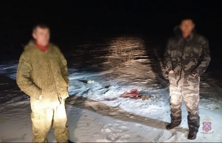 Мясо краснокнижных сайгаков пустили на еду оголодавшие волгоградцы