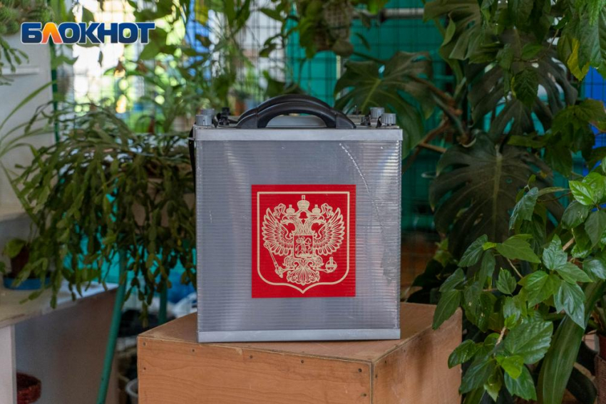 Составляют списки бюджетников: в Волгограде открылась горячая линия по нарушениям на выборах в Госдуму
