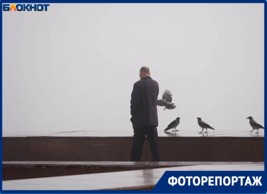 «Не видно ничего!»: пугающее явление накрыло Волгоград — и это не просто туман