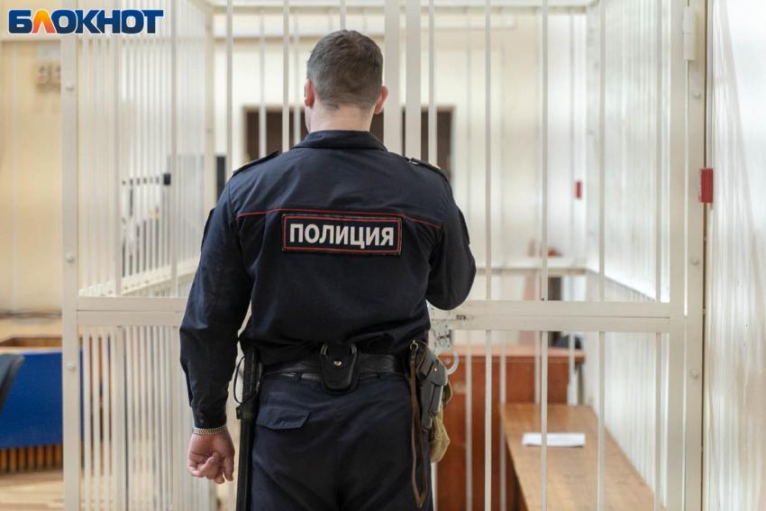 Три волгоградки организовали ОПГ и «нагрели» почти 200 человек