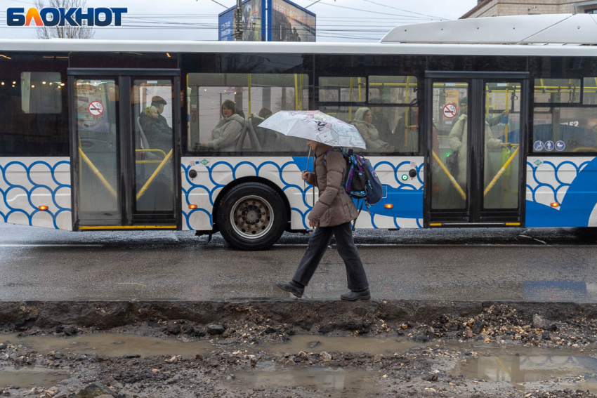 Волгоградцы назвали провальной идеей мэрии отмену 65-го автобуса
