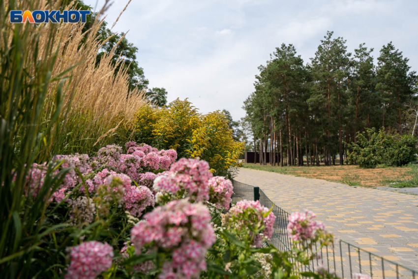 Волгоград попрощается с летом при плюс 30 градусах