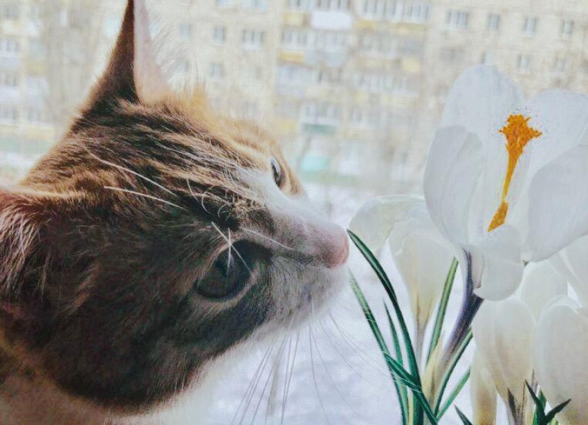 Первые морозы и порывистый ветер ждут волгоградцев на выходных: чиновники обещают подготовиться