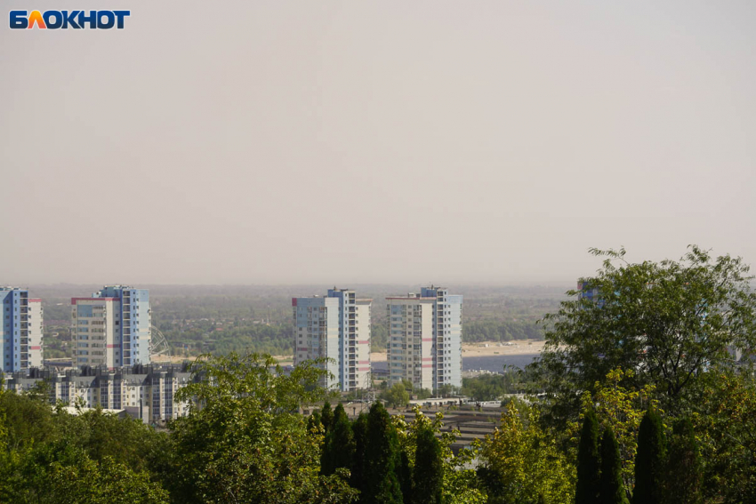 Идеальная осенняя суббота: в Волгограде 6 сентября будет +26°C и без осадков