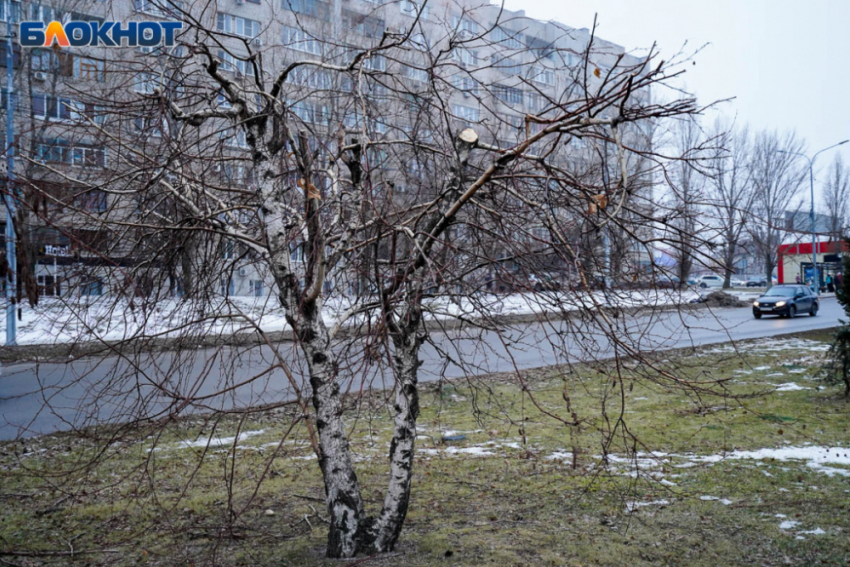 Стало известно, какая погода ждет волгоградцев в воскресенье 