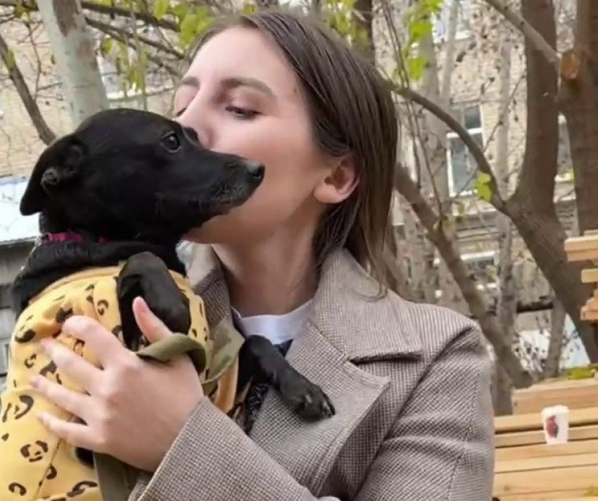 «Единственная выжила там, где всех убили»: история дворняжки Тильды трогает до слез