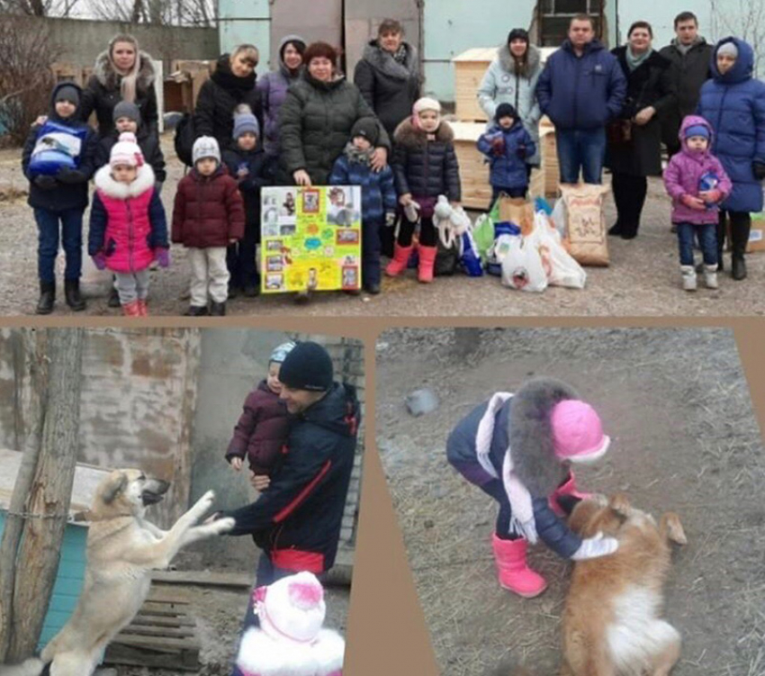 Перебирали дрова и обнимали собак: в волжский приют с помощью приезжали дошкольники и инвалиды