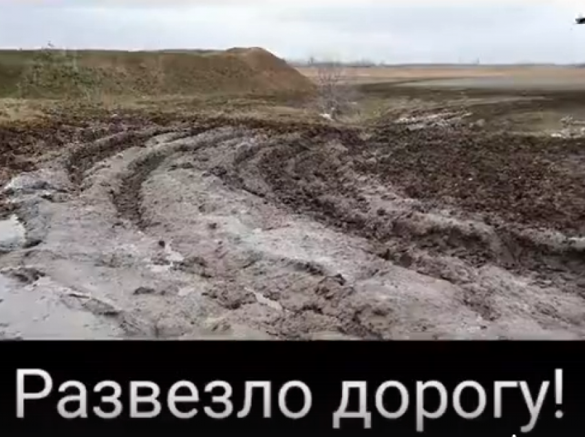 Километр непролазной грязи отрезал от цивилизации приют с сотнями собак под Волгоградом