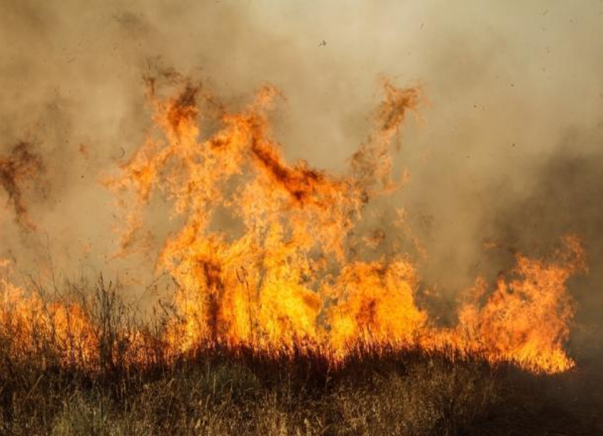 В Волгоградской области из-за неосторожности сгорели стога сена