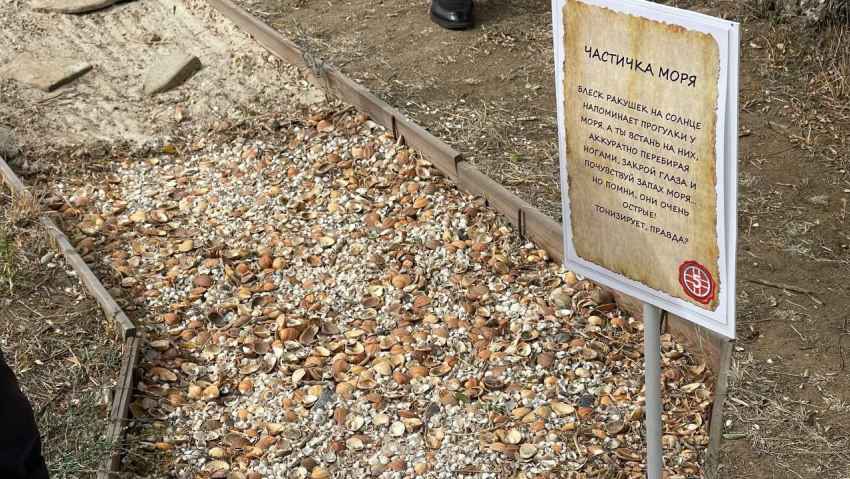 Лечебную тропу для ходьбы босиком открыли в Волгограде: местами больно