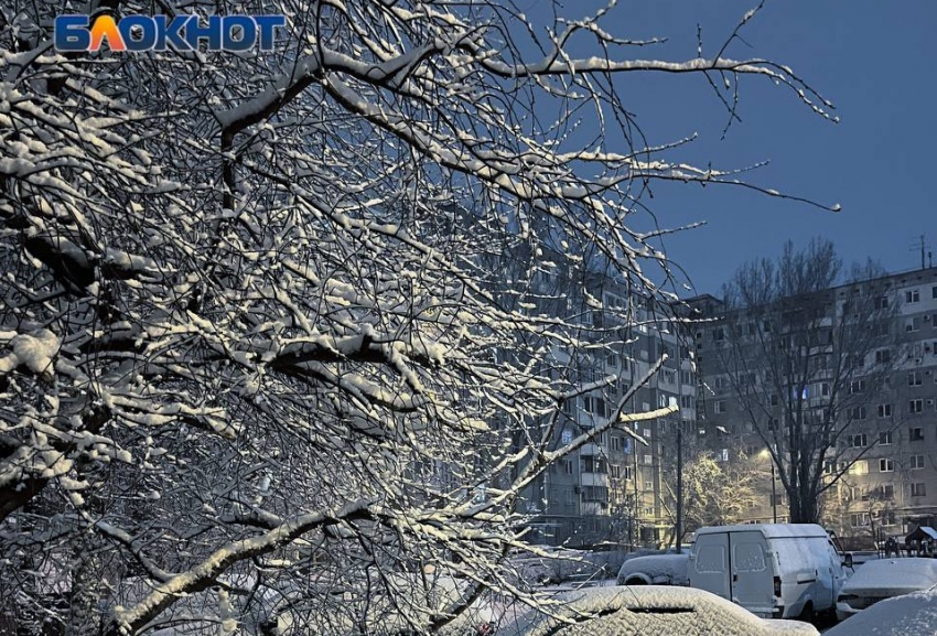 Пять сантиметров снега выпало ночью в Волгограде