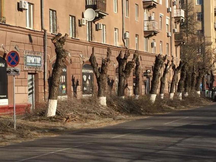 На центральной набережной Волгограда уничтожают деревья