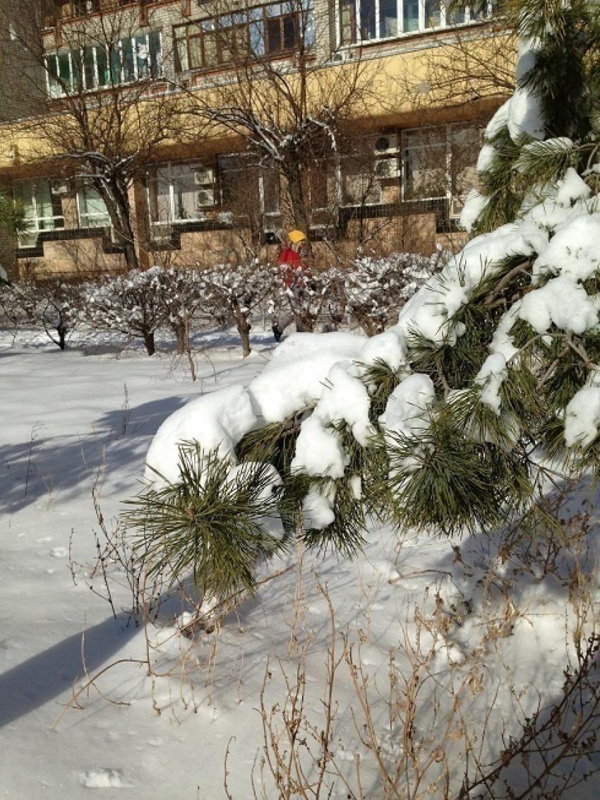Фоторепортаж: Волгоград проснулся в снежном плену
