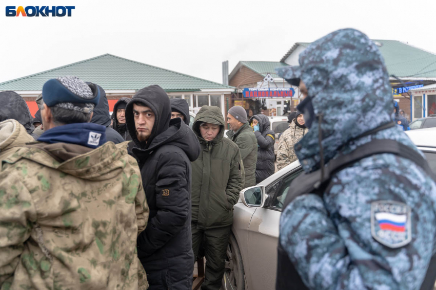 График работы миграционной службы на праздниках озвучили в Волгограде 