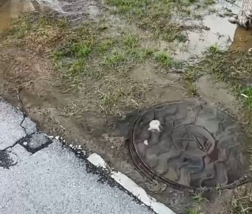 Потоп продолжается третьи сутки в Волгограде - видео