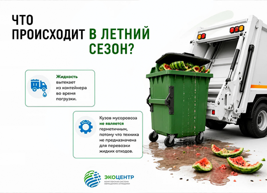 Сезон арбузов: как правильно выбрасывать остатки бахчевых культур 