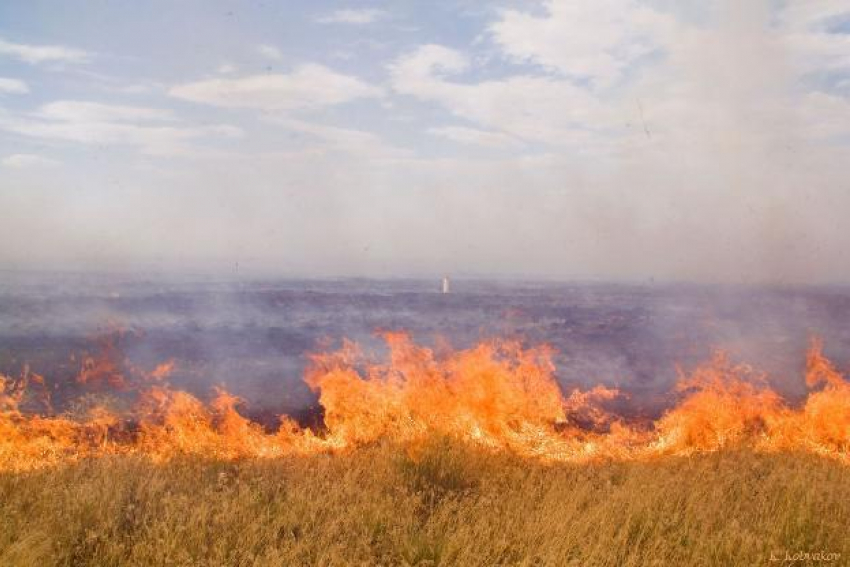 В Волгоградской области вероятность природных пожаров чрезвычайно высока